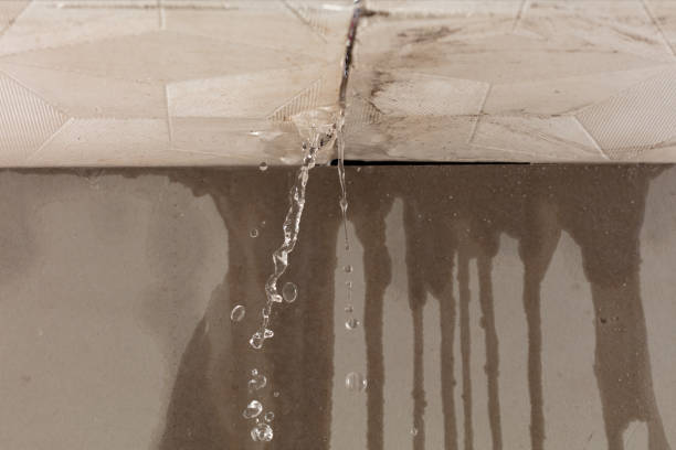 Professional Water Damage Repair technician working in Littlefield, TX